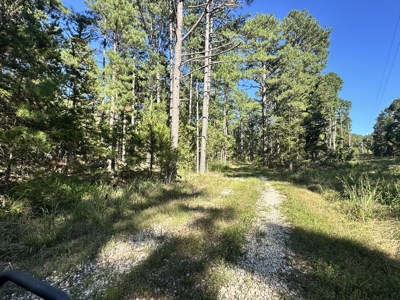 Land for Sale in Edgar Springs, MO - image 14