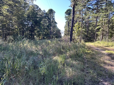 Land for Sale in Edgar Springs, MO - image 10