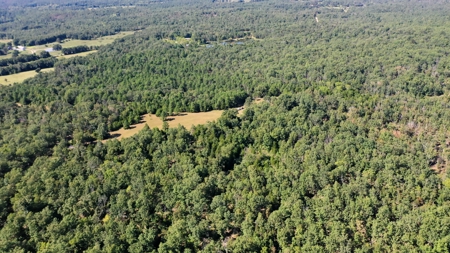 Land for Sale in Edgar Springs, MO - image 4