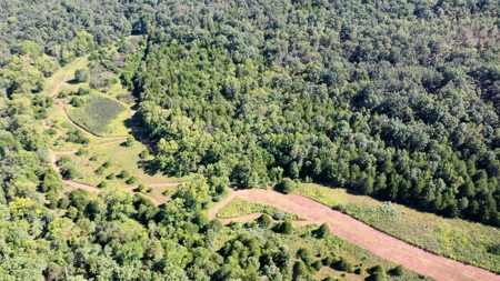 Land for Sale in Edgar Springs, MO - image 6