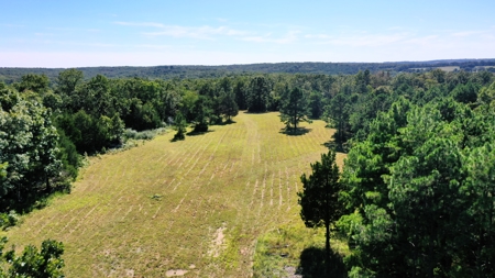 Land for Sale in Edgar Springs, MO - image 1
