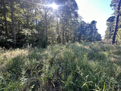 Land for Sale in Edgar Springs, MO - image 13