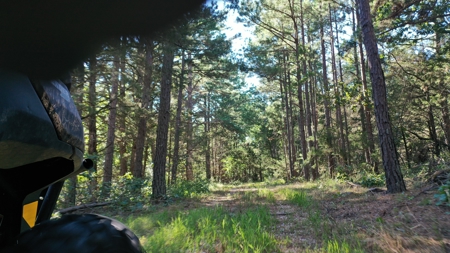 Land for Sale in Edgar Springs, MO - image 3