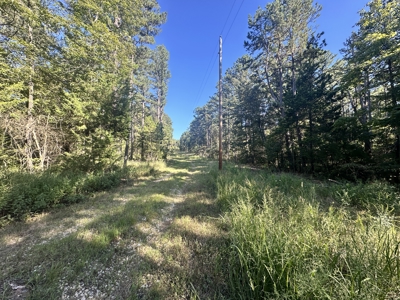 Land for Sale in Edgar Springs, MO - image 12