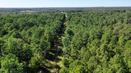 Land for Sale in Edgar Springs, MO - image 15