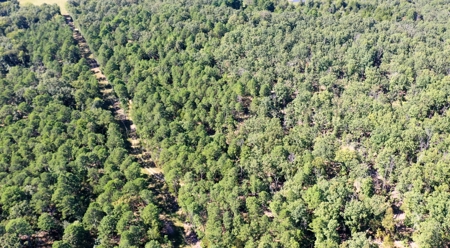 Land for Sale in Edgar Springs, MO - image 7