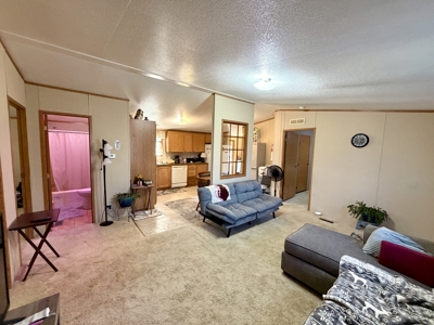 3 Bedroom Home for Sale in Salem, Missouri - image 4