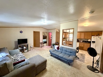 3 Bedroom Home for Sale in Salem, Missouri - image 3