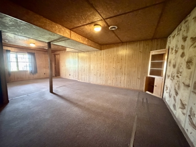 Home for Sale in Salem, Missouri - image 12