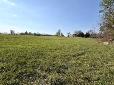 Home for Sale in Salem, Missouri - image 7