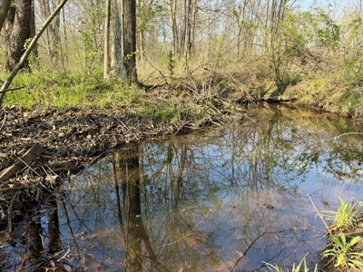 Home for Sale in Salem, Missouri - image 6