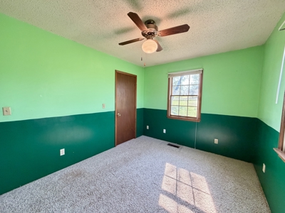 Home for Sale in Salem, Missouri - image 47