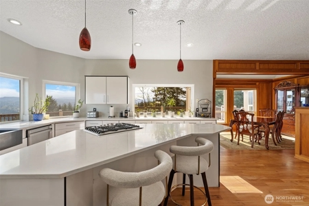 5-Acre Gated Estate with Views & ADU - image 16