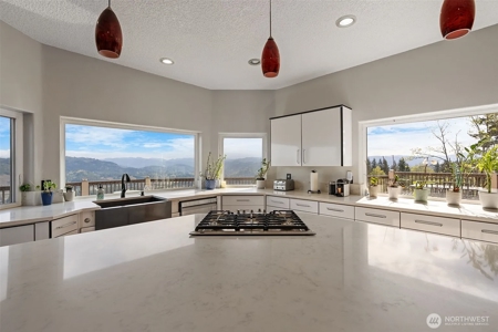 5-Acre Gated Estate with Views & ADU - image 19