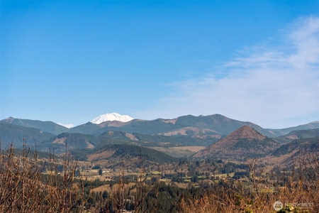 5-Acre Gated Estate with Views & ADU - image 5