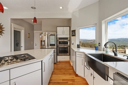 5-Acre Gated Estate with Views & ADU - image 24