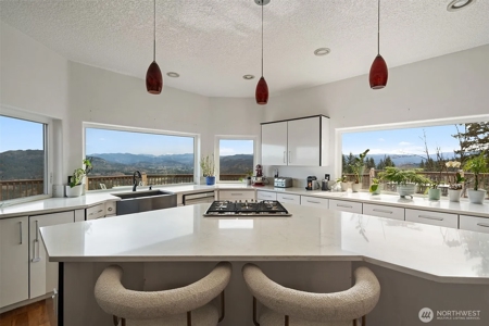 5-Acre Gated Estate with Views & ADU - image 13