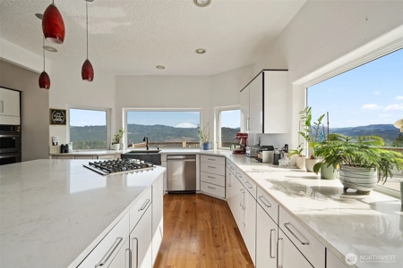 5-Acre Gated Estate with Views & ADU - image 7