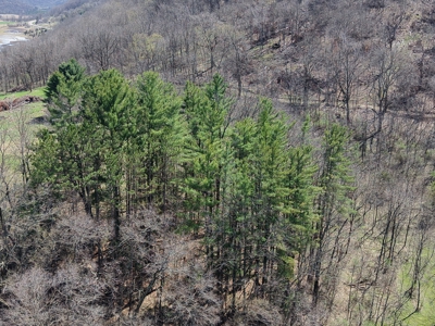 SW Wisconsin Country Home, 30.53 Wooded Acres (Driftless Region) - image 29