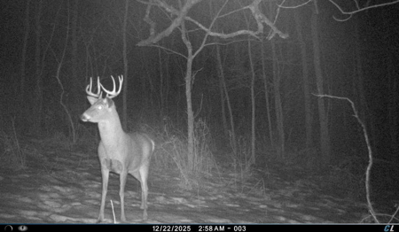 SW Wisconsin Country Home, 30.53 Wooded Acres (Driftless Region) - image 2