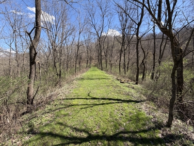 SW Wisconsin Country Home, 30.53 Wooded Acres (Driftless Region) - image 40