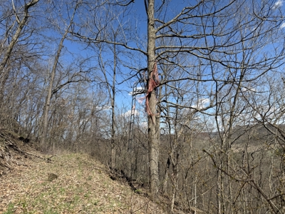 SW Wisconsin Country Home, 30.53 Wooded Acres (Driftless Region) - image 38