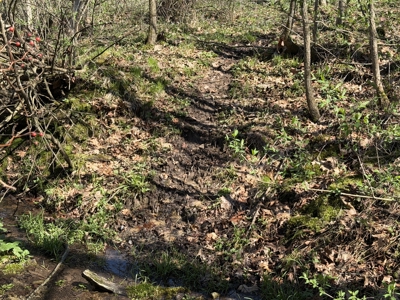 SW Wisconsin Country Home, 30.53 Wooded Acres (Driftless Region) - image 42