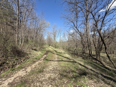 SW Wisconsin Country Home, 30.53 Wooded Acres (Driftless Region) - image 50
