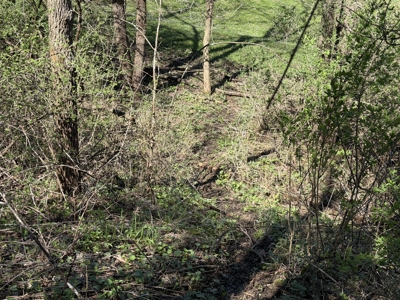 SW Wisconsin Country Home, 30.53 Wooded Acres (Driftless Region) - image 41