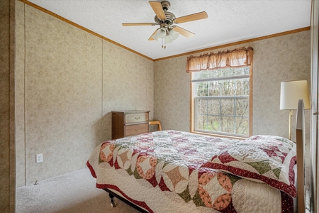 SW Wisconsin Country Home, 30.53 Wooded Acres (Driftless Region) - image 8