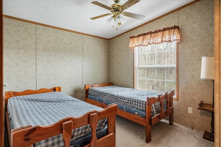 SW Wisconsin Country Home, 30.53 Wooded Acres (Driftless Region) - image 9