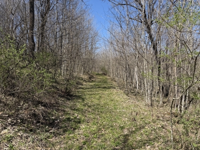 SW Wisconsin Country Home, 30.53 Wooded Acres (Driftless Region) - image 32