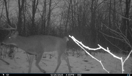 SW Wisconsin Country Home, 30.53 Wooded Acres (Driftless Region) - image 1