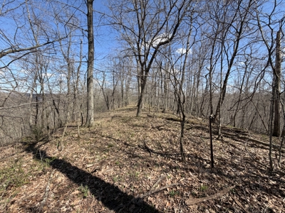 SW Wisconsin Country Home, 30.53 Wooded Acres (Driftless Region) - image 37