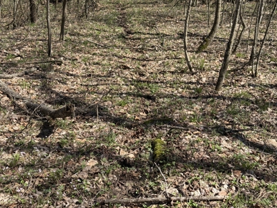 SW Wisconsin Country Home, 30.53 Wooded Acres (Driftless Region) - image 33