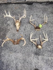 SW Wisconsin Country Home, 30.53 Wooded Acres (Driftless Region) - image 48