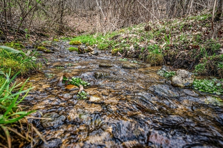 SW Wisconsin Country Home, 30.53 Wooded Acres (Driftless Region) - image 23