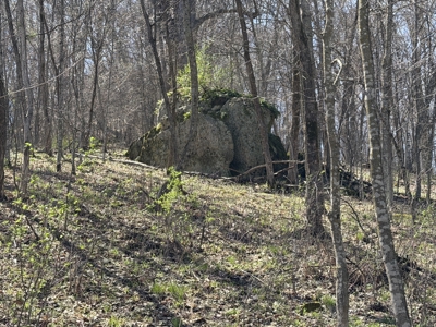 SW Wisconsin Country Home, 30.53 Wooded Acres (Driftless Region) - image 34