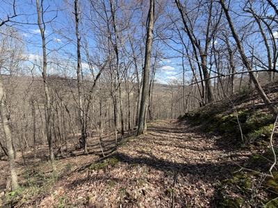 SW Wisconsin Country Home, 30.53 Wooded Acres (Driftless Region) - image 35