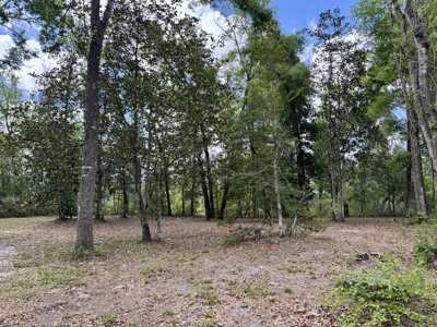 𝐒𝐮𝐰𝐚𝐧𝐧𝐞𝐞 𝐑𝐢𝐯𝐞𝐫 Home on 8 Acres in Jasper, FL - image 41