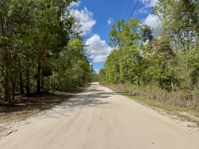 𝐒𝐮𝐰𝐚𝐧𝐧𝐞𝐞 𝐑𝐢𝐯𝐞𝐫 Home on 8 Acres in Jasper, FL - image 49