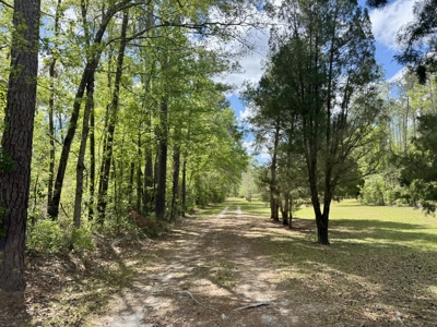 𝐒𝐮𝐰𝐚𝐧𝐧𝐞𝐞 𝐑𝐢𝐯𝐞𝐫 Home on 8 Acres in Jasper, FL - image 36