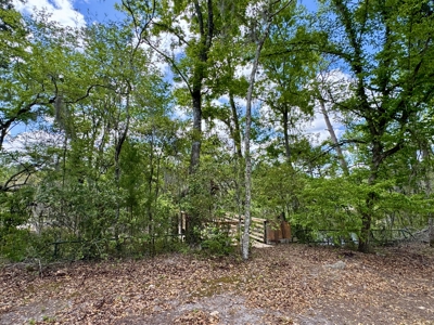 𝐒𝐮𝐰𝐚𝐧𝐧𝐞𝐞 𝐑𝐢𝐯𝐞𝐫 Home on 8 Acres in Jasper, FL - image 43