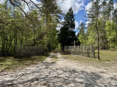 𝐒𝐮𝐰𝐚𝐧𝐧𝐞𝐞 𝐑𝐢𝐯𝐞𝐫 Home on 8 Acres in Jasper, FL - image 35