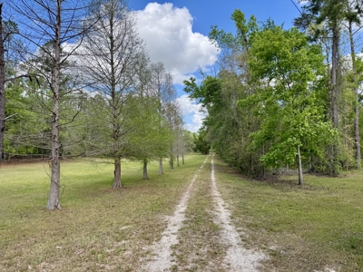 𝐒𝐮𝐰𝐚𝐧𝐧𝐞𝐞 𝐑𝐢𝐯𝐞𝐫 Home on 8 Acres in Jasper, FL - image 38