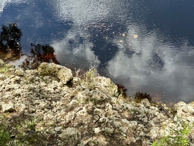 𝐒𝐮𝐰𝐚𝐧𝐧𝐞𝐞 𝐑𝐢𝐯𝐞𝐫 Home on 8 Acres in Jasper, FL - image 47