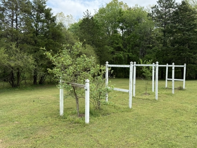 Large Home on 3.34 Acres in Quitman School District - image 49