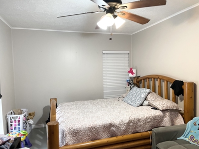 Charming home on a large lot located on an established street - image 15