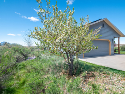 On grid solar home on acreage with privacy yet close to town - image 23