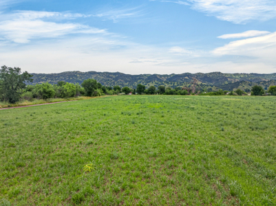 Certified Organic Farm Land for Sale in Guinda CA |  29 Acres - image 10
